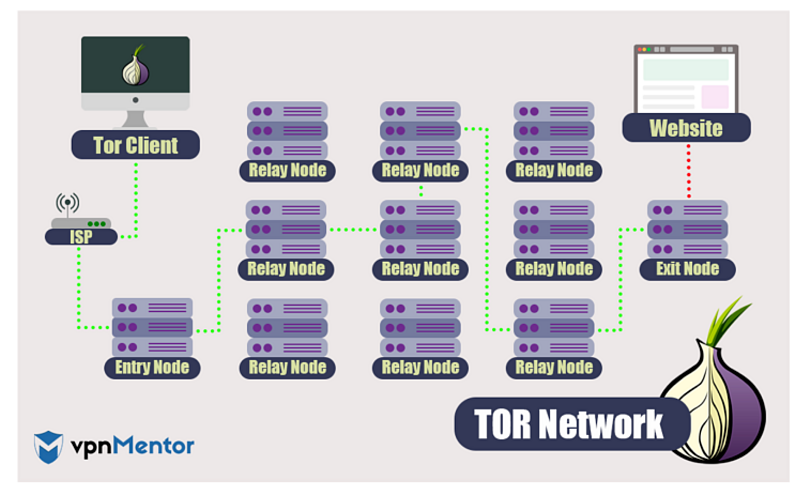 Infographic showing how the Tor network routes data through relay nodes