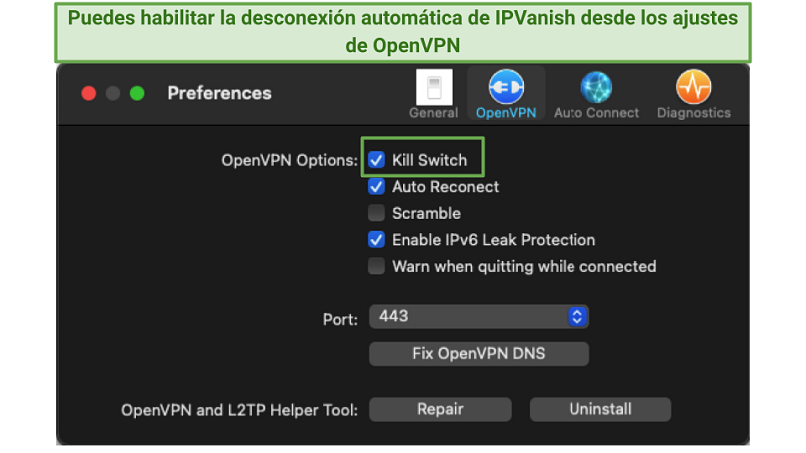 Graphic of IPVanish's OpenVPN settings