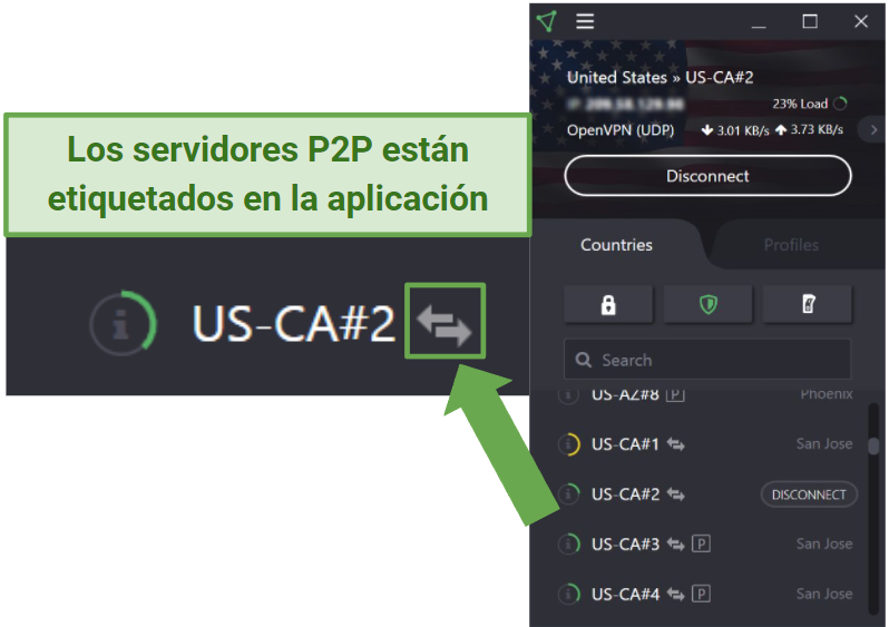 Screenshot of P2P servers in the ProtonVPN app