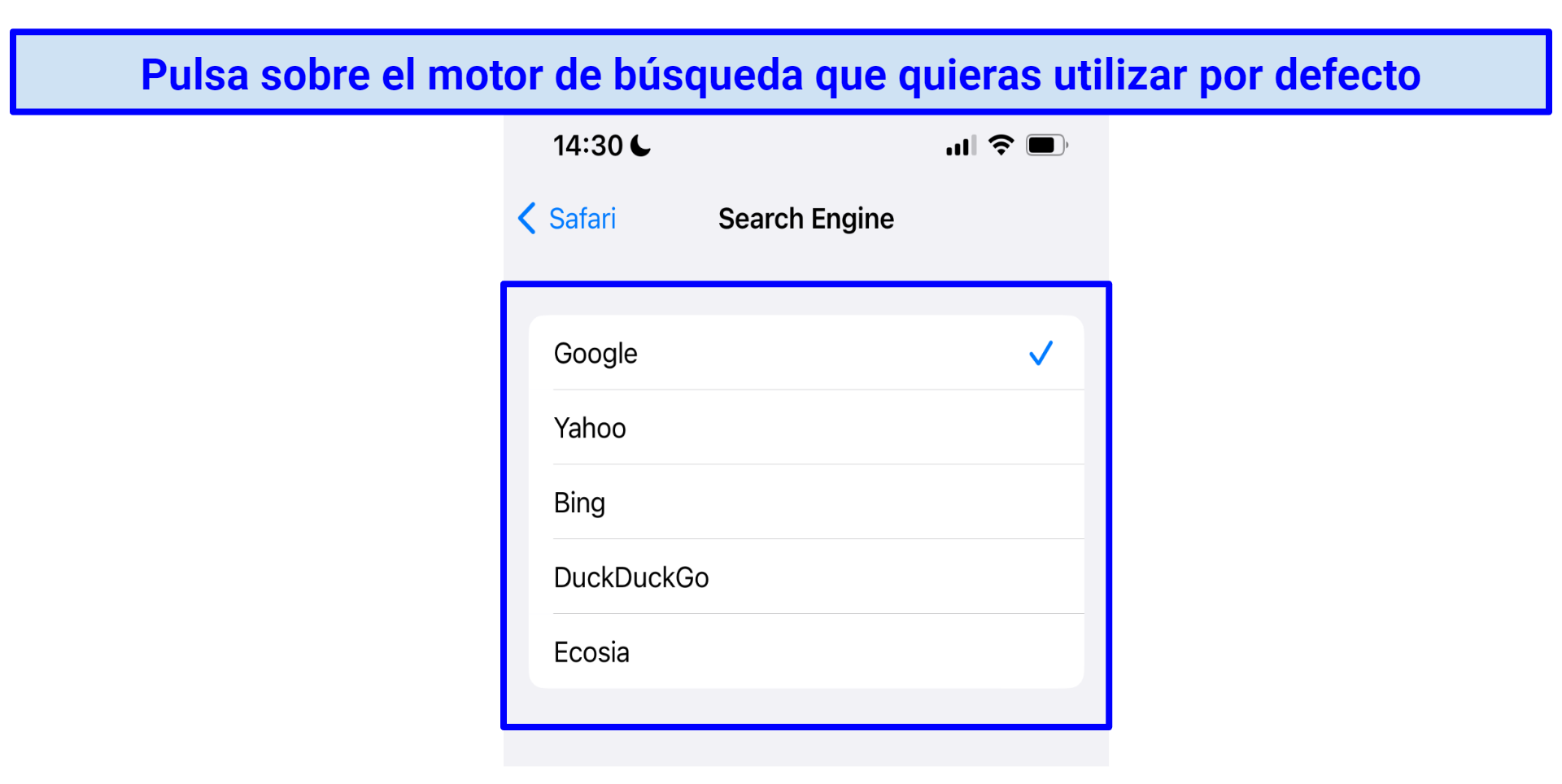 A screenshot showing default search engines on your iOS device