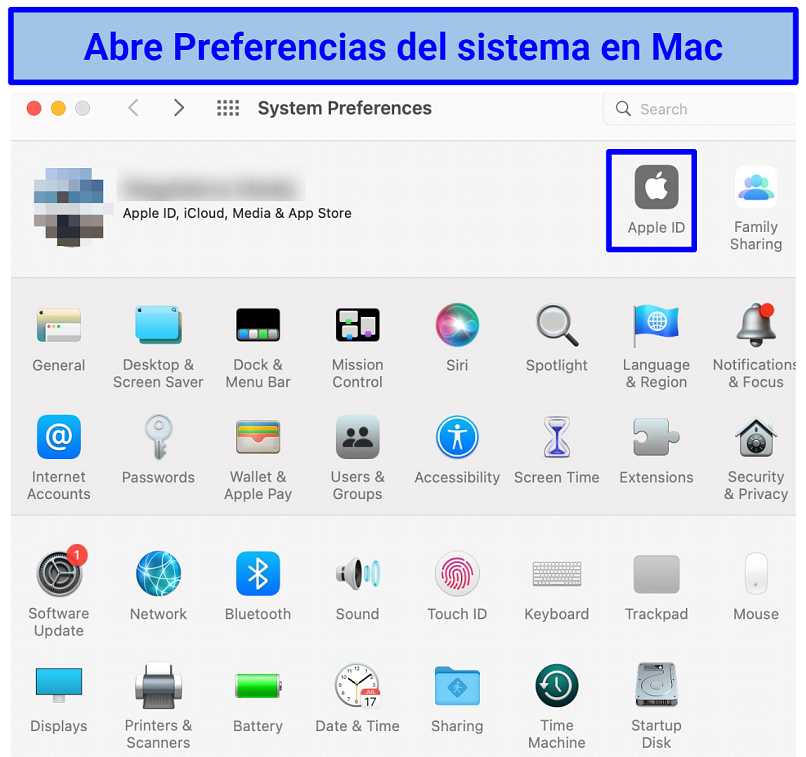 Screenshot of Mac's System Preferences window