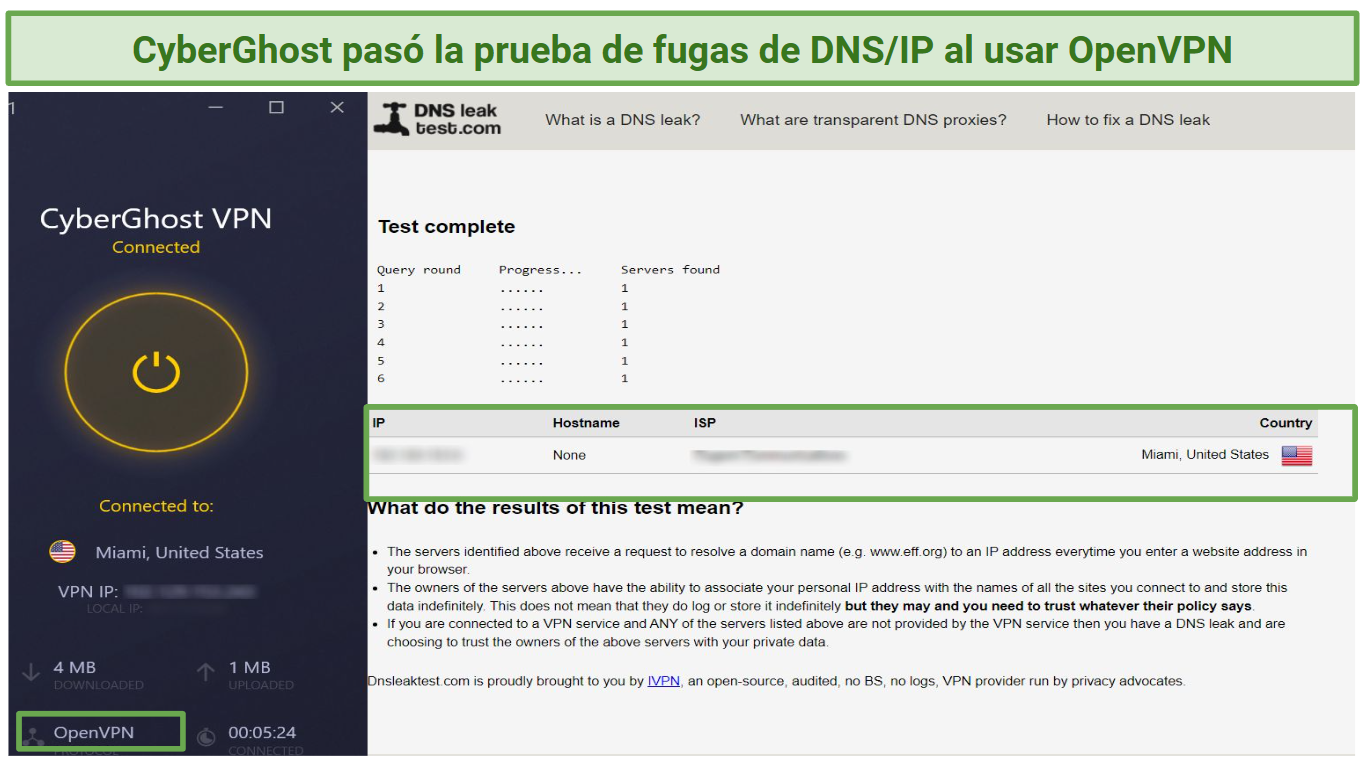 Image of DNS leak results ran while using the OpenVPN protocol on CyberGhost.