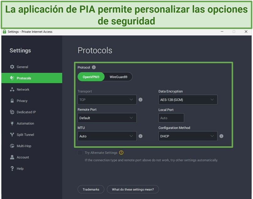 Screenshot of PIA's highly customizable security settings