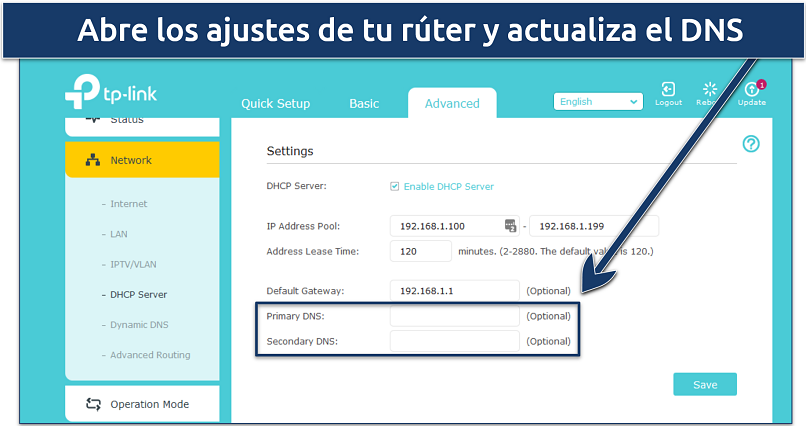 Screenshot of a TP-Link router's DNS settings