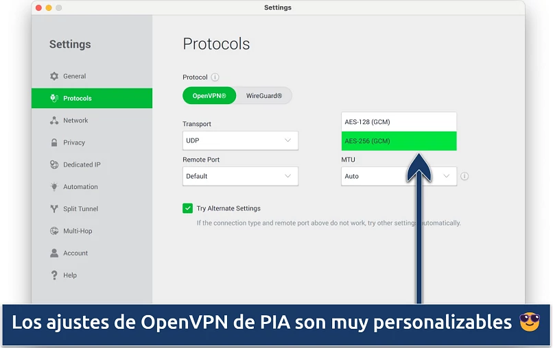 Screenshot showing the customization options on PIA's Settings menu