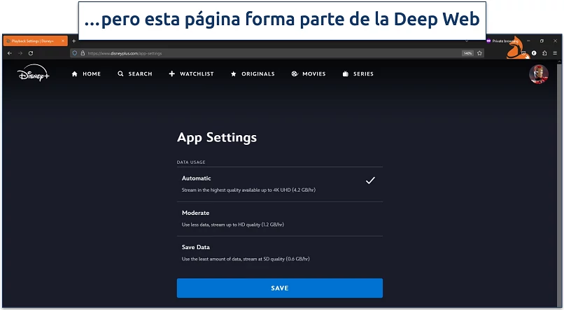 A screenshot of the Disney Plus app settings page