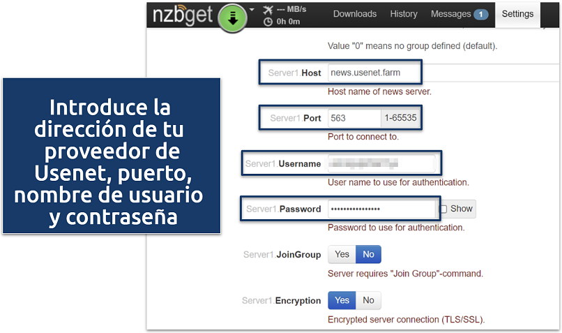 Screenshot showing NZBGet client setup