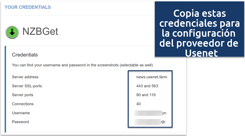 Screenshot showing Usenet.Farm credentials for NZBGet